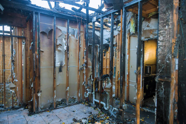 Professional Fire Damage Removal technician working in Lavaca, AR